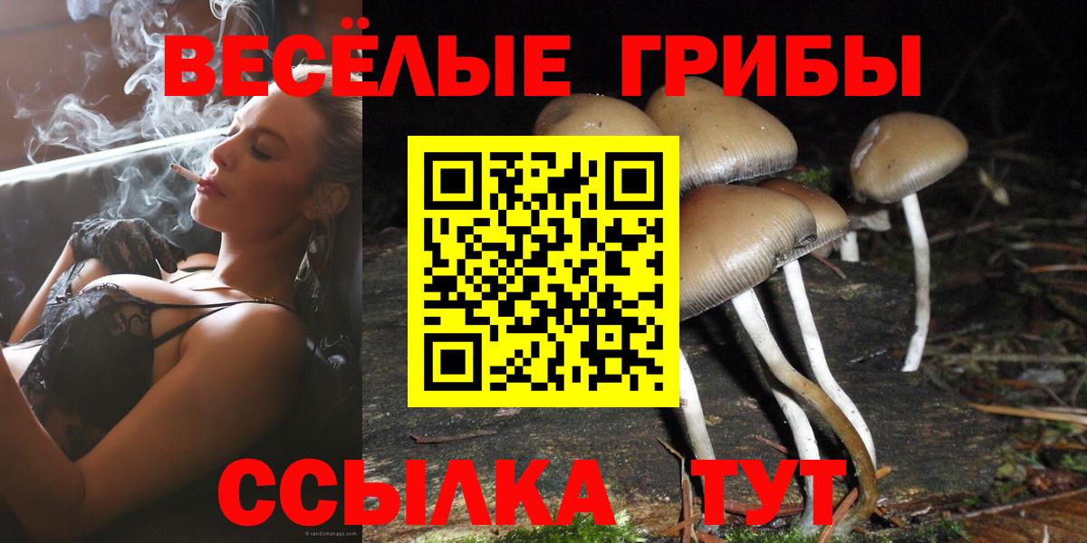 Псилоцибиновые грибы GOLDEN TEACHER  даркнет сайт  Воскресенск  Вход с VPN  Псилоцибиновые грибы прущие грибы 